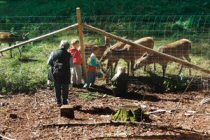 Erbach im Odenwald